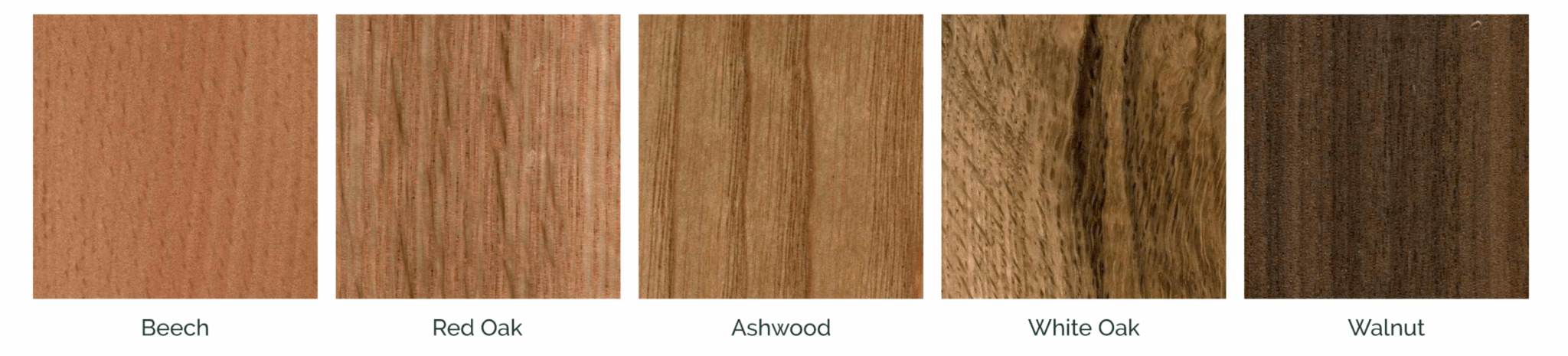 Six wood samples labelled Beech, Red Oak, Ashwood, White Oak, and Walnut. Each sample shows a different wood grain pattern and colour, ranging from light tan (Beech) to dark brown (Walnut).